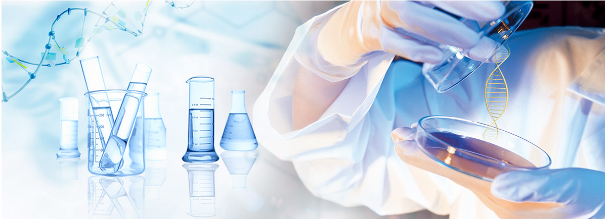 世界杯下单平台网站官网功能性医用面料