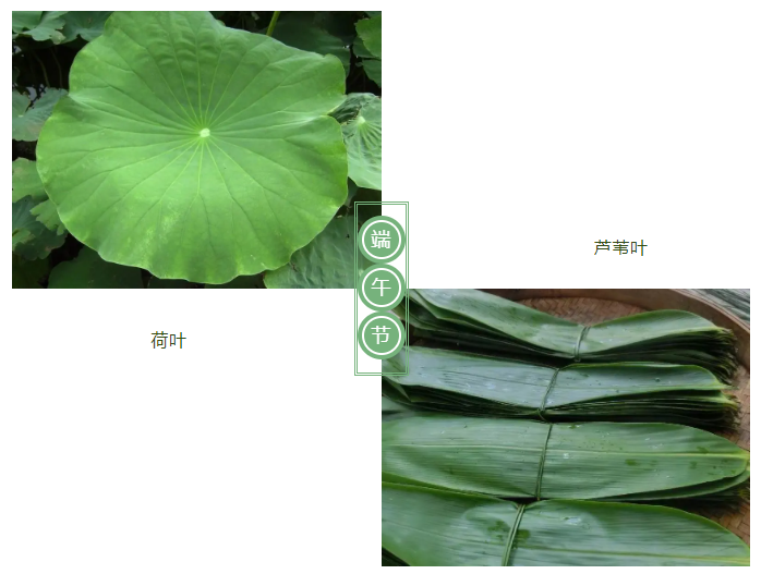 世界杯下单平台网站官网医纺