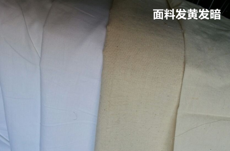 世界杯下单平台网站官网医防医用面料