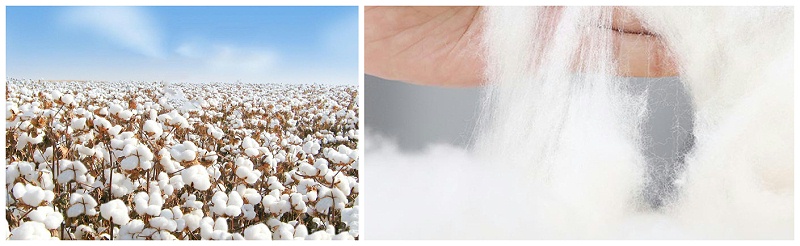 世界杯下单平台网站官网医纺