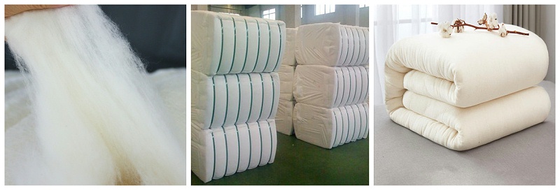 世界杯下单平台网站官网医纺