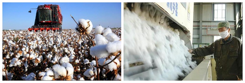 世界杯下单平台网站官网医纺