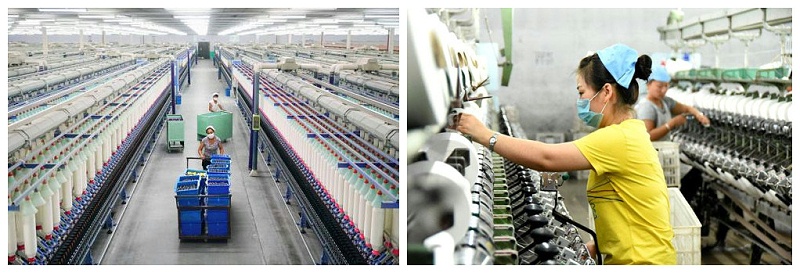 世界杯下单平台网站官网医纺