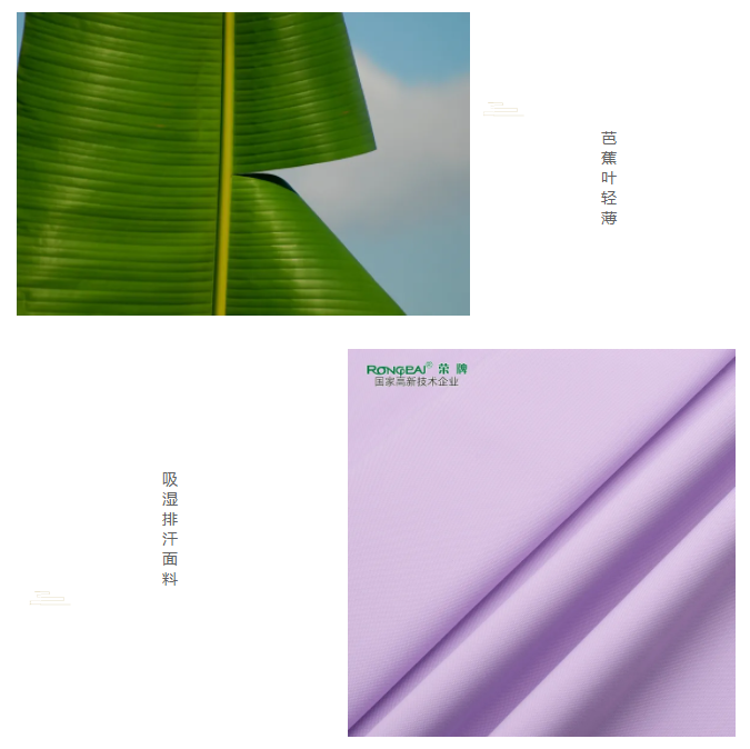 世界杯下单平台网站官网医纺